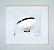 Pride and Passion Framed Print by Artist Doug Hyde