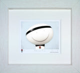 Pride and Passion Framed Print by Artist Doug Hyde