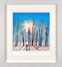 You, Me and the Sunshine Framed Signed Limited Edition Print on Paper by Artist Doug Hyde